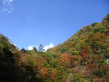 IMG_2314_thumb.png
