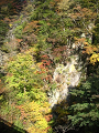 IMG_2319_thumb.png