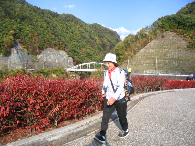 IMG_2338.JPG