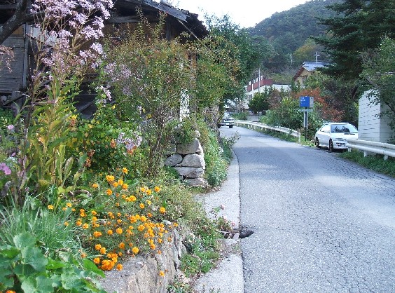 DSCF0194.JPG