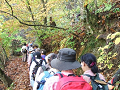 DSCF0196_thumb.png