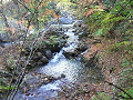 DSCF0197_thumb.png