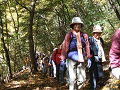 DSCF0208_thumb.png