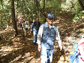 DSCF0229_thumb.png