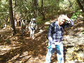 DSCF0230_thumb.png