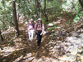 DSCF0233_thumb.png