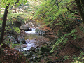 DSCF0235_thumb.png