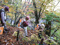 DSCF0236_thumb.png