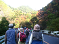 IMG_1947_thumb.png