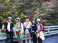 IMG_1953_thumb.png