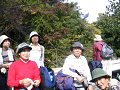 IMG_2108_thumb.png
