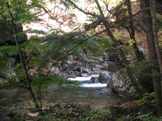 IMG_2209.JPG