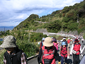 IMG_3182_thumb.png