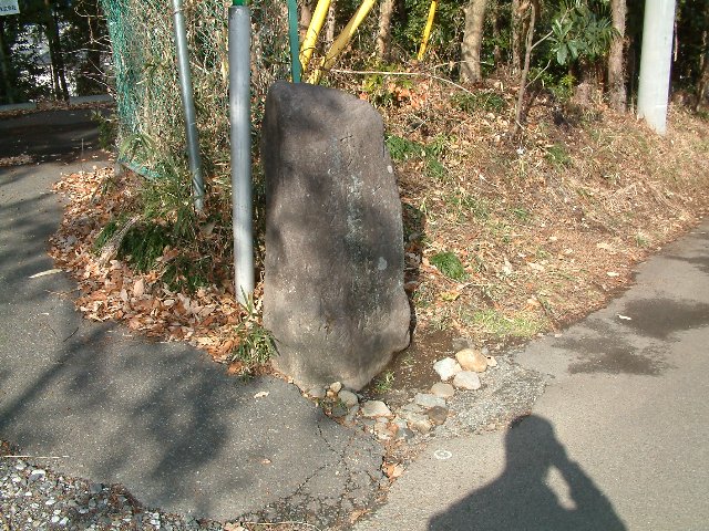 DSCF0011.JPG