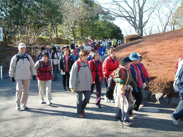 DSCF0033.JPG