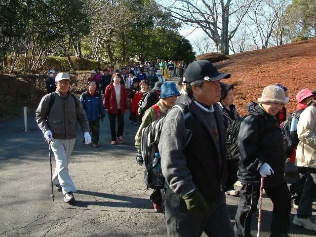 DSCF0035.JPG