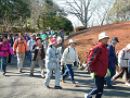 DSCF0037_thumb.png