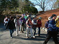 DSCF0038_thumb.png
