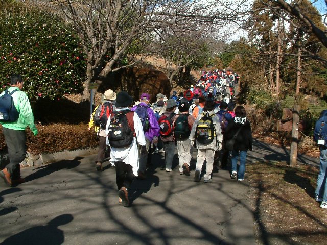 DSCF0040.JPG