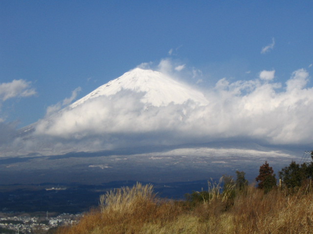 IMG_7799.JPG