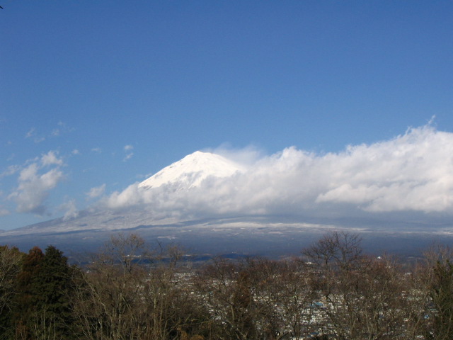 IMG_7813.JPG