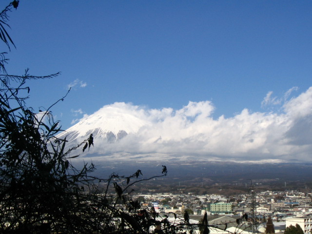 IMG_7824.JPG