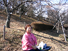 IMG_7733_thumb.png