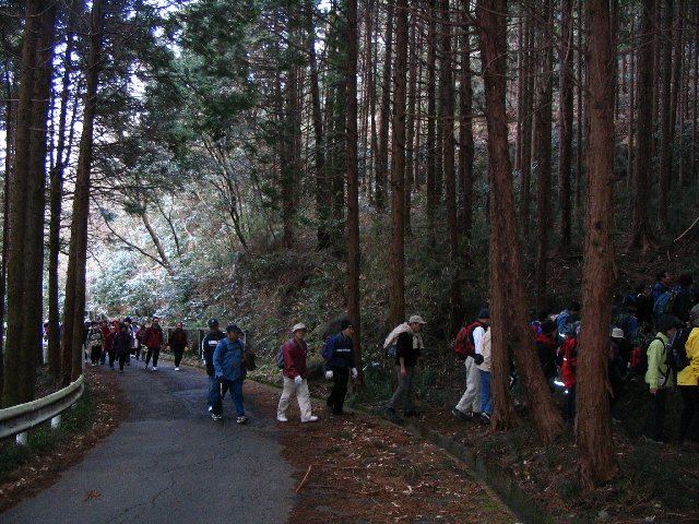 IMG_7701.JPG