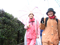 IMG_9464_thumb.png