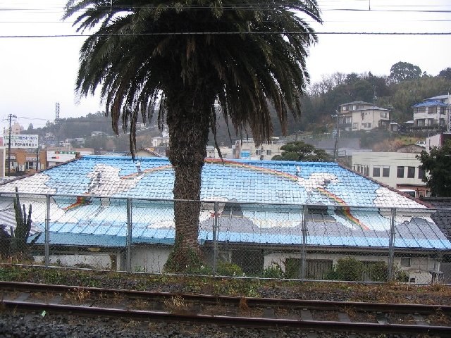 IMG_9510.JPG