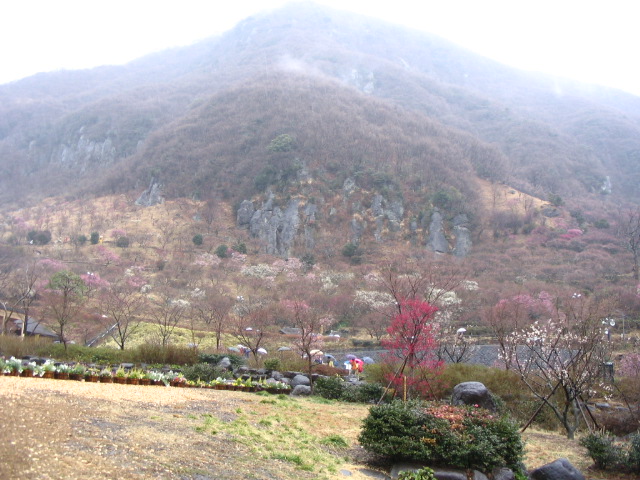 IMG_9347.JPG