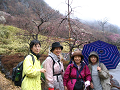 IMG_9359_thumb.png