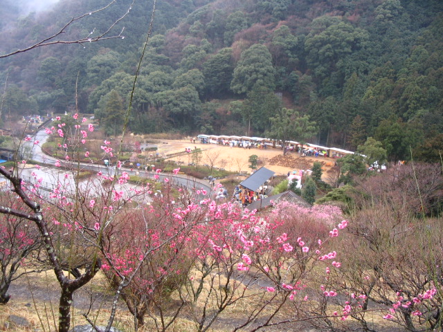 IMG_9391.JPG