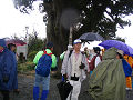 IMG_9195_thumb.png
