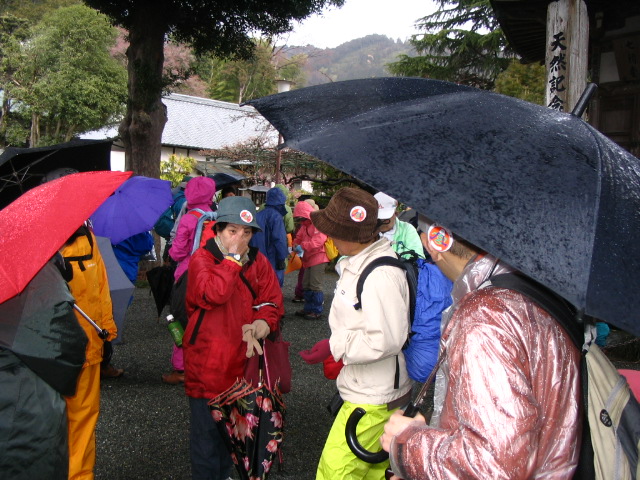 IMG_9196.JPG