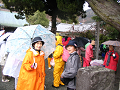 IMG_9201_thumb.png