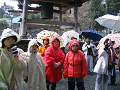 IMG_9203_thumb.png