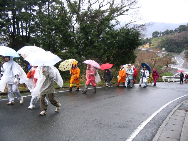 IMG_9266.JPG