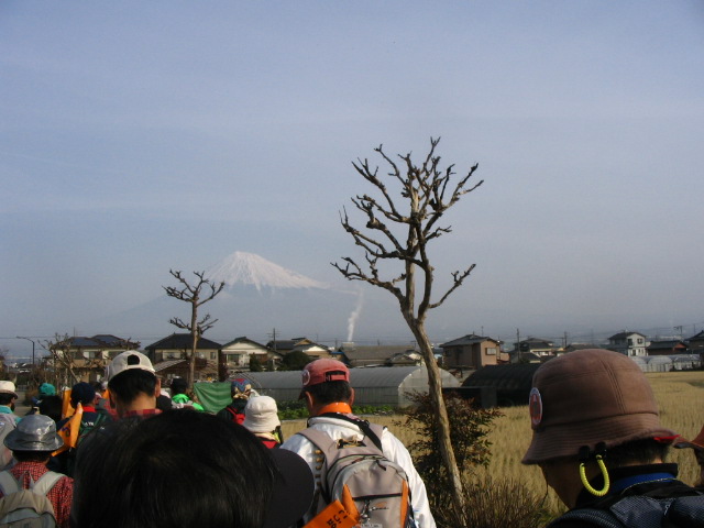IMG_5226.JPG