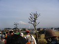 IMG_5226_thumb.png