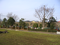 IMG_5237_thumb.png