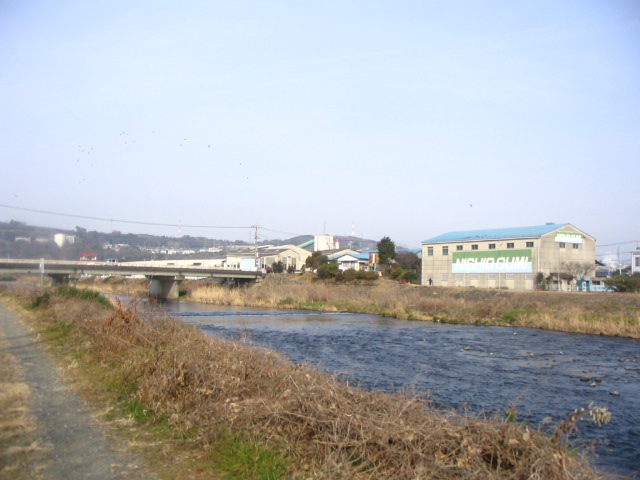 IMG_5257.JPG