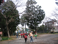 IMG_5343_thumb.png