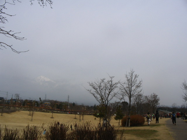 IMG_5371.JPG