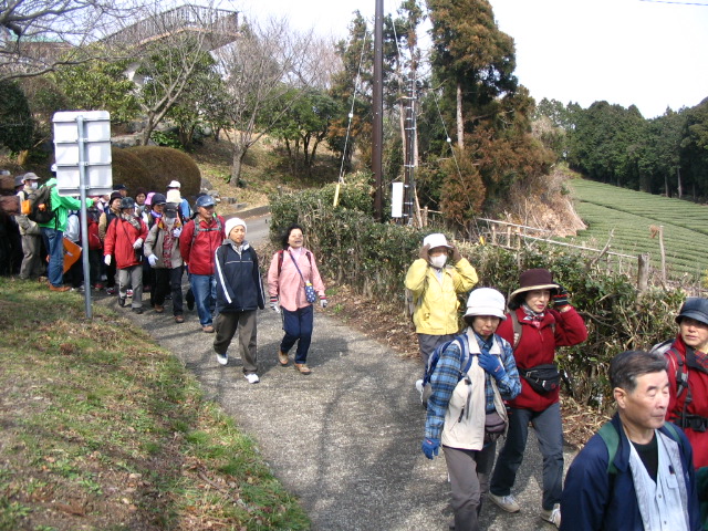 IMG_7028.JPG