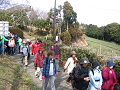 IMG_7034_thumb.png