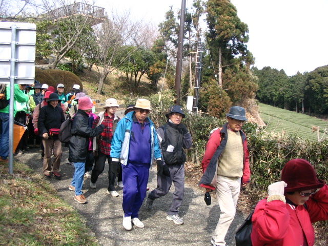 IMG_7045.JPG
