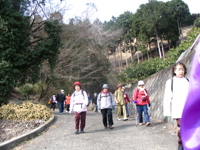 IMG_7062.JPG
