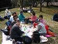 IMG_6981_thumb.png