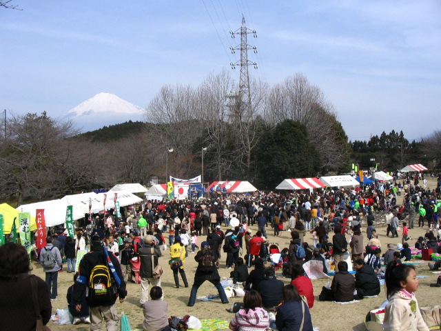 IMG_6995.JPG